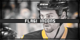 flagicons